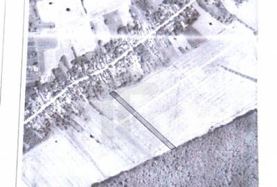 Com GRUIU_Reprezentare exclusiva_TEREN EXTRAVILAN LANGA PAD - 3