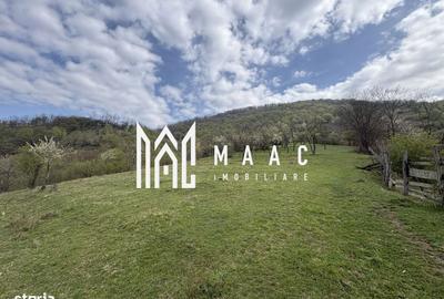 Spațiu comercial, în Frâncești - 1