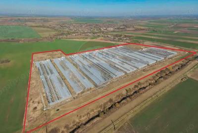 Complex de sere certificate BIO, de vanzare, Ciocaia, Bihor - 3