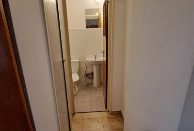 Oferta inchiriere apartament 3 camere Lacul Tei Parcul Circului - 17