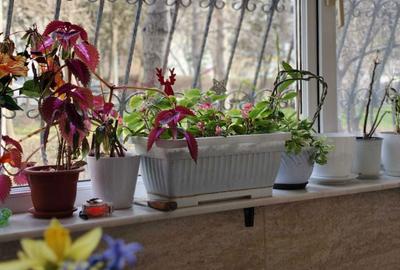 Apartament cu 3 camere decomandat în Tomis Nord