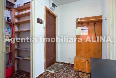Apartament cu 2 camere decomandat în Minerul - 19
