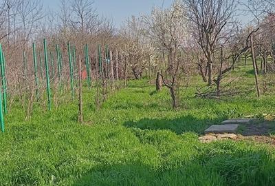 Casă cu 3 camere cu Teren 863 Mp în Central
