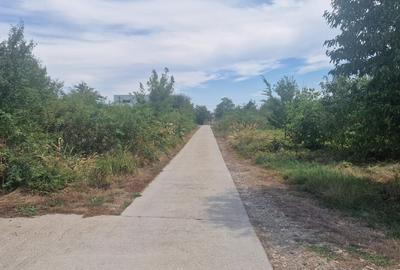 Direct proprietar inchiriez vila Cartier Padurea Baneasa - 12