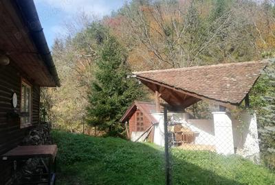 Casa de vacan?a cu teren, utilita?i ?i priveli?te de vis - 2