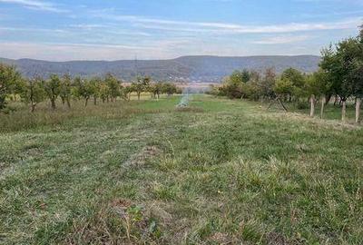 Teren de 6500 mp, în Băiculești - 1