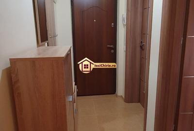 Apartament 3 camere Valea Lupului - 10