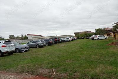 Casă cu 6 camere cu Teren 3560 Mp în Central - 14