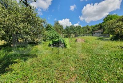 Casa 180mp utili, 15 ari de teren, Valea Slatinitei - 5