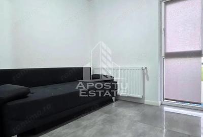 Vile de inchiriat Fantanele Arad - 15