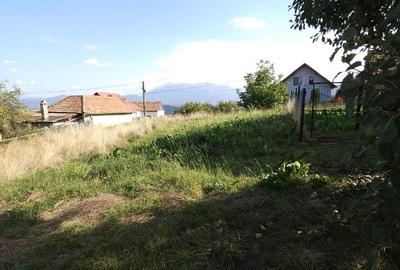 Teren Construcții intravilan de 1618 mp, în Brebina - 2