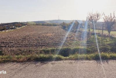 Teren de 4200 mp, în Central