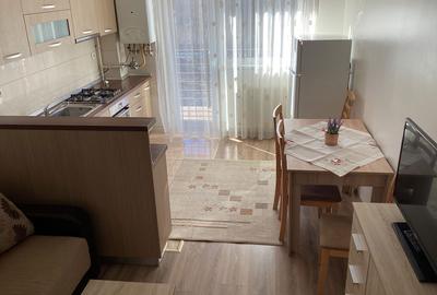 Garsonieră decomandată în Turnișor - 5