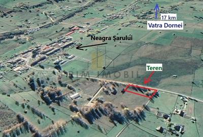 Teren Saru Dornei / Neagra Sarului - oportunitate investitie - 9