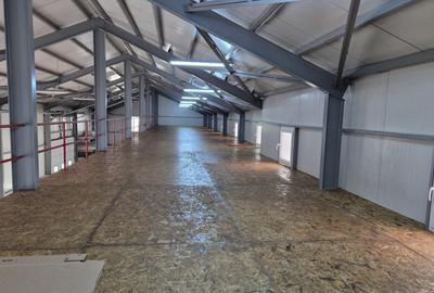 Hala Noua de Inchiriat | Pallady | 1000MP - 14