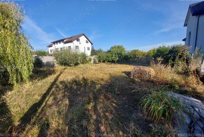 Teren de 1000 mp, în 1 Decembrie