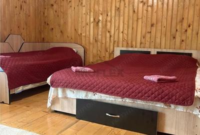 Casă cu 12 camere cu Teren 2000 Mp în Sărata - 2