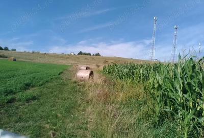 Teren de 8000 mp, în Chinteni - 7