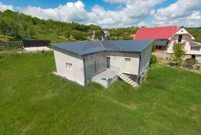 Casă cu 3 camere cu Teren 2042 Mp în Calea Mare - 4