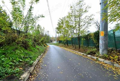 Vanzare teren de colt 682mp Strada Dealului nr.1 Sat Lilieci Sinesti Ialomita la 27 km de Bucuresti - 2