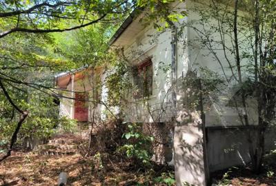 Teren de 3000 mp, în Central - 5