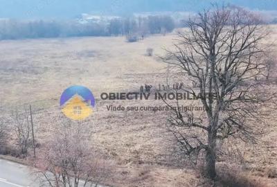 Teren de 3035 mp, în Bodești - 4