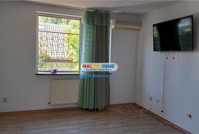 Inchiriere vila reprezentativa Rond Cosbuc / Libertatii / Parcul Carol Inchiriere vila reprezentativa Rond Cosbuc / Libertatii / Parcul Carol - 16