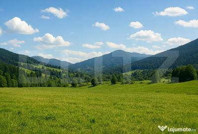 Teren de 7000 mp, în Central