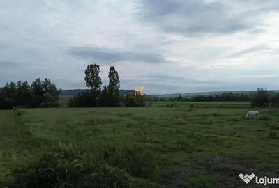 Teren de 3953 mp, în Fălticeni - 5