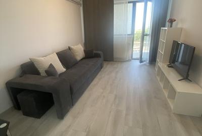 Apartament cu 2 camere decomandat, mobilat în Theodor Pallady - 19