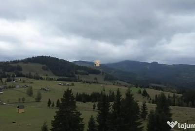 Teren de 16813 mp, în Fundu Moldovei - 10