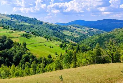 CASA TRADITIONALA, ANEXE si 46.980 mp teren partial INTRAVILAN BULZ - BIHOR - 34