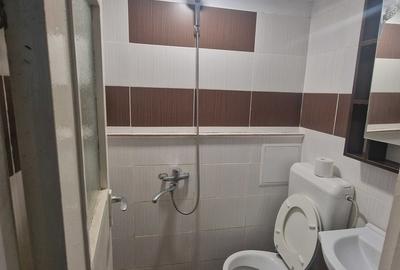 Titan, str. Tudor Ion, renovata, centrala, ac, tv, contract ANAF, ocazie! - 6