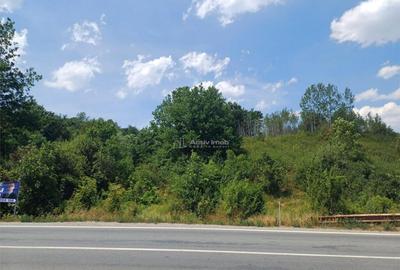 Resita, Terenuri Intravilane 2000 Mp., 28 Euro/Mp., Calea Ca - 2