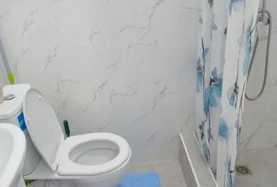 Garsoniera in zona Piata Victoriei - 2