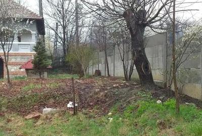 Casă cu Teren 1366 Mp în Central - 7