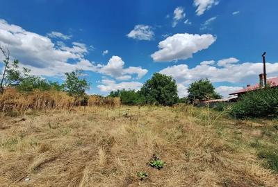 Teren intravilan de vânzare - 1000 mp în Frumușani - 5