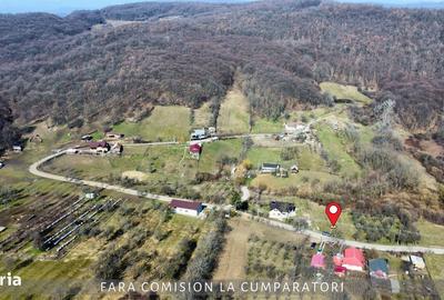 Spațiu comercial, în Căzănești - 8