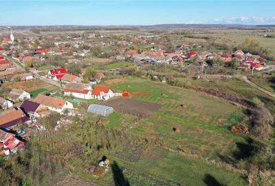 Teren de 800 mp, în Hodoș - 2