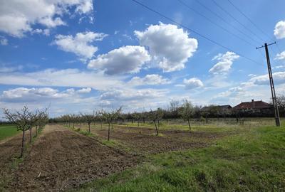 Casă cu 3 camere în Leleasca - 2