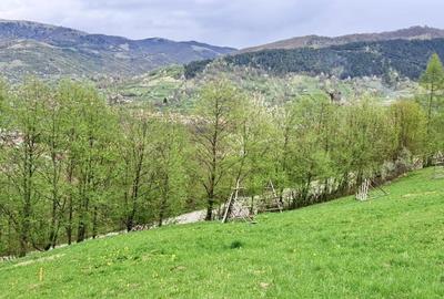 Teren cu priveliste panoramica , 2 deschideri la sosea asfaltata Teren cu priveliste panoramica , 2 deschideri la sosea asfaltata - 3