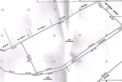 Teren agricol de 54000 mp, în Clinceni - 3