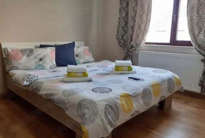 Chirie perioade scurte in Onesti - 3