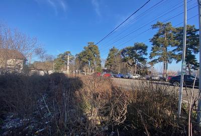 Teren 828 mp vis-a-vis de lac - langa Calul Balan - 5