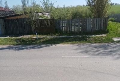 Teren de 700 mp, în Băcălești - 3