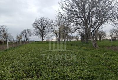 Casă de vânzare în satul Roșia cu vedere panoramică spre Munții Făgăras Casă de vânzare în satul Roșia cu vedere panoramică spre Munții Făgăras - 3