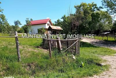 Spațiu comercial, în Brădetu - 9