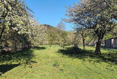 Casă cu Teren 1391 Mp în Putna - 1