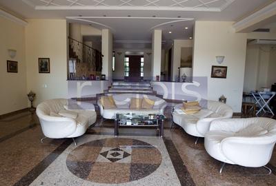 SNAGOV | VILA DE LUX CU 90M DESCHIDERE LA LAC | POZITIE EXCEPTIONALA - 38