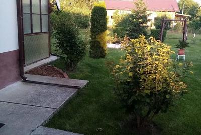 Casă cu Teren 1989 Mp în Ciritei - 4